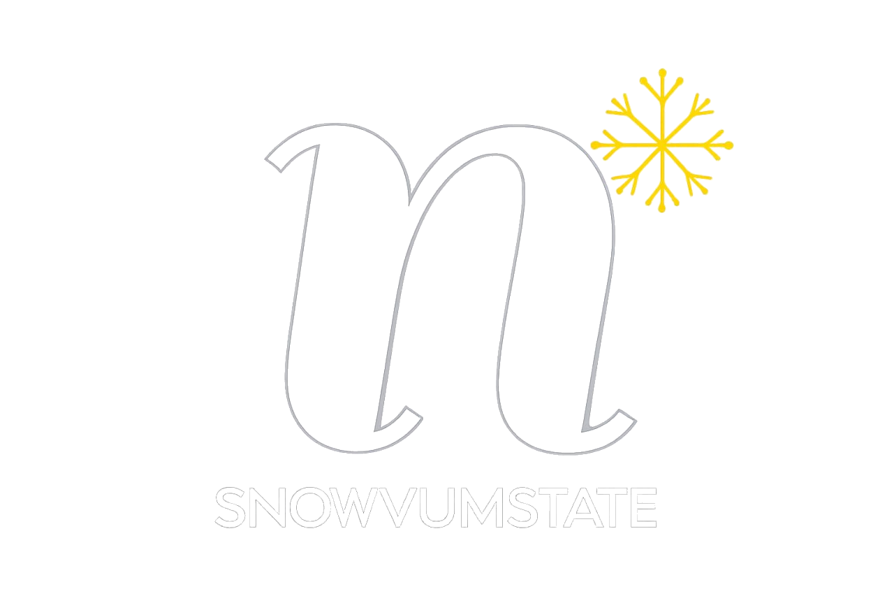 Novumstate Logo